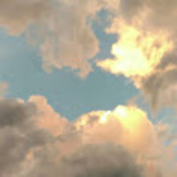 Meet your Posher, Makayla - Picture 1 of 1